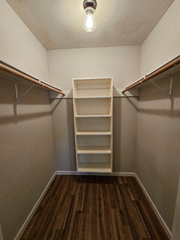 19403 Youngtree Cir in Houston, TX - Building Photo - Building Photo