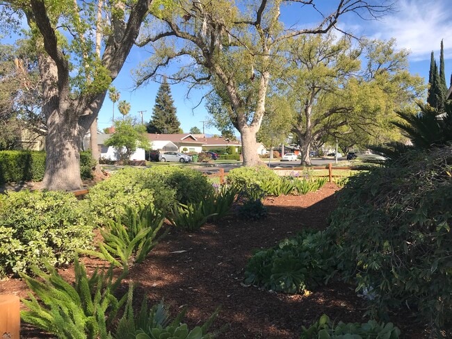 14656 Morrison St in Sherman Oaks, CA - Building Photo - Building Photo