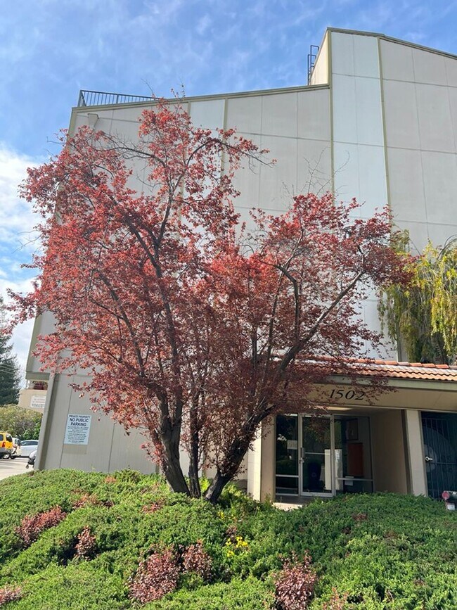 property at 1502 E St