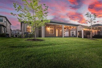 30950 Parrot Reef Ct in Wesley Chapel, FL - Building Photo - Building Photo