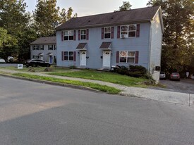 357 Braeside Ave, Unit 357 in East Stroudsburg, PA - Building Photo