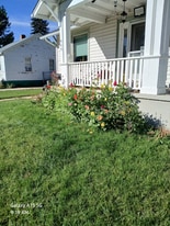 909 Collyer St in Longmont, CO - Building Photo