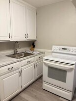 1507 Centre St, Unit 1 in Ashland, PA - Building Photo