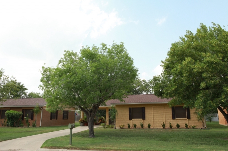 Kingswood Village Apartments in Edinburg, TX - Building Photo