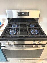 1070 W Thorndale Ave in Chicago, IL - Building Photo - Building Photo