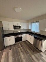 463 Lakewood Blvd in Park Forest, IL - Building Photo