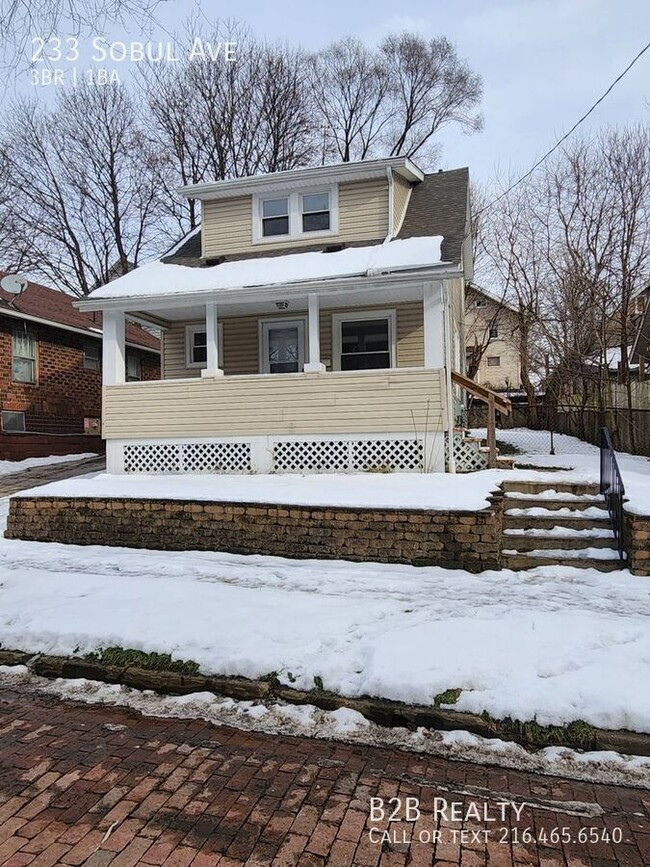 233 Sobul Ave in Akron, OH - Building Photo - Building Photo