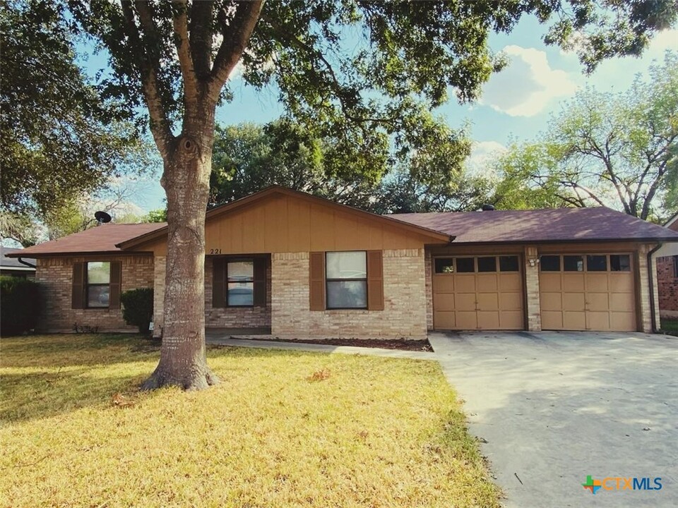 221 Gruene Rd in New Braunfels, TX - Building Photo