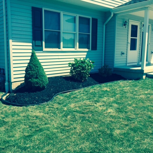 25 Roosevelt Ave in West Seneca, NY - Building Photo