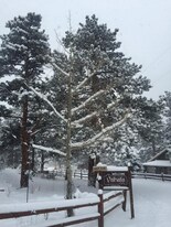2185 Eagle Cliff Rd in Estes Park, CO - Building Photo