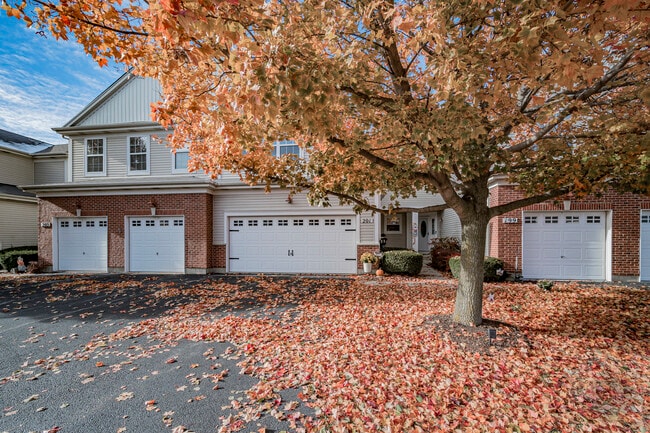 201 Dorset Ave in Oswego, IL - Building Photo - Building Photo