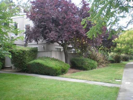 property at 2035 Mount Olive Dr