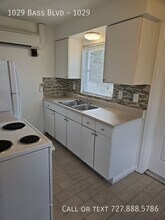 1029 Bass Blvd in Dunedin, FL - Building Photo - Building Photo