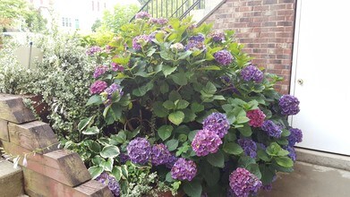 1009 Simsbury Ct, Unit 1009 in Crofton, MD - Foto de edificio - Building Photo