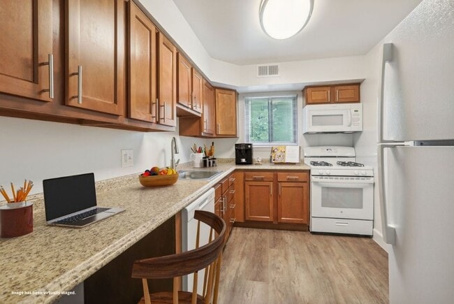 Hamilton Springs Apartments in Baltimore, MD - Building Photo - Building Photo