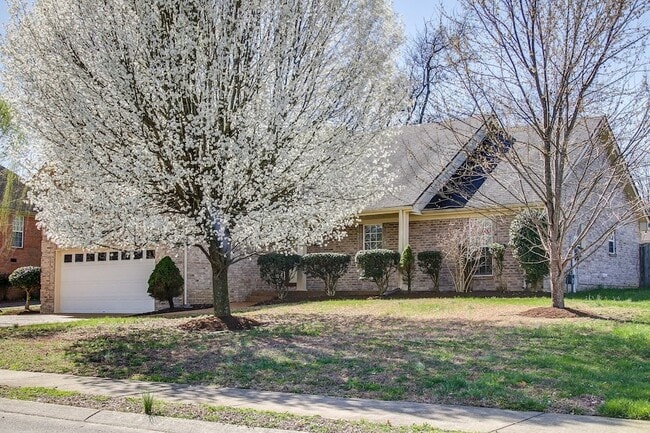 1031 Margaret Dr in Hendersonville, TN - Building Photo - Building Photo