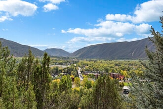 306 Wild Spring Ln in Basalt, CO - Building Photo - Building Photo