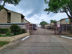 700 Thicket Ln in Houston, TX - Building Photo