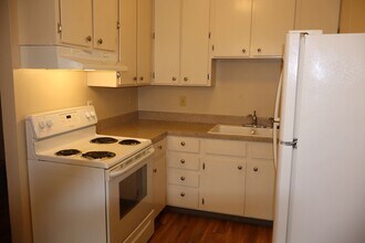 1209 W Plum St in Fort Collins, CO - Foto de edificio - Building Photo