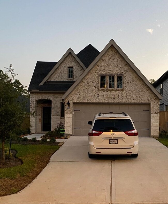 169 Hidden Peak Dr in Montgomery, TX - Building Photo - Building Photo