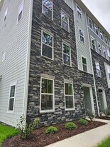 8040 Laurel Woods Ln in Glen Allen, VA - Building Photo