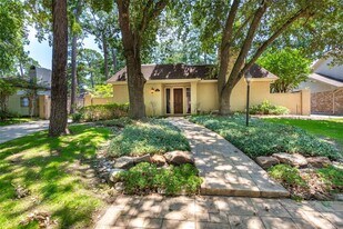 354 Tealwood Dr in Houston, TX - Building Photo