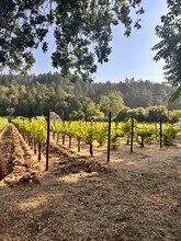 102 Foothill Blvd in Calistoga, CA - Building Photo - Building Photo