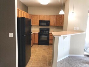 804 Summer Hawk Dr in Longmont, CO - Building Photo - Building Photo