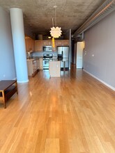 125 E 13th St in Chicago, IL - Building Photo - Building Photo