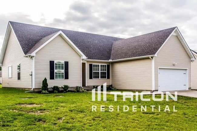 1020 Niagra Way in Murfreesboro, TN - Building Photo - Building Photo