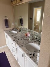 5102 Cinquefoil Ln in Fort Collins, CO - Building Photo - Building Photo