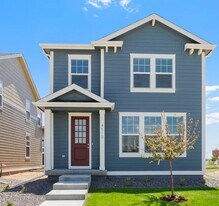 4510 Burl St in Timnath, CO - Building Photo