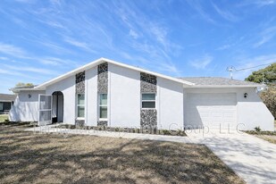 10449 Mayflower Rd in Spring Hill, FL - Building Photo