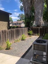 390 Ash Street in Chico, CA - Building Photo - Interior Photo