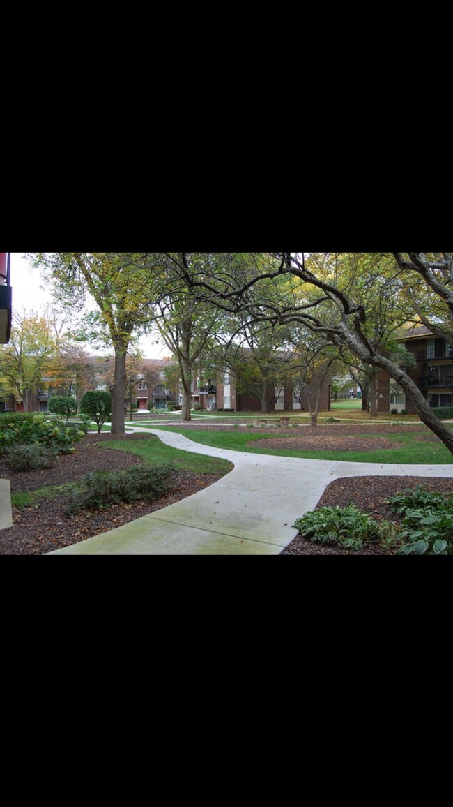 5S070 Pebblewood Ln Rentals in Naperville, IL