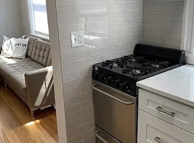 36 East Newton St, Unit 3 in Boston, MA - Building Photo - Building Photo