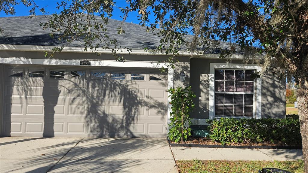 4255 Ashton Meadows Way in Wesley Chapel, FL - Building Photo