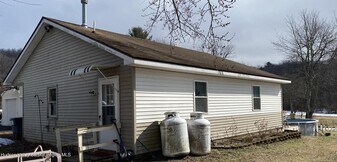 540 Lakeview Terrace in Kingston, NY - Building Photo