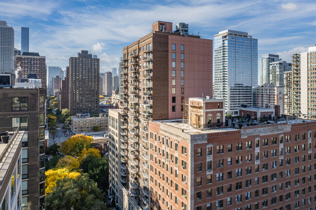 1250 N Dearborn St in Chicago, IL - Building Photo - Building Photo