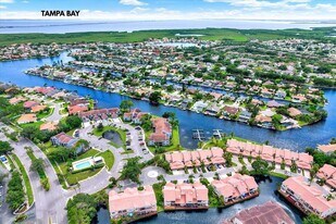 6330 Grand Bahama Cir in Tampa, FL - Building Photo