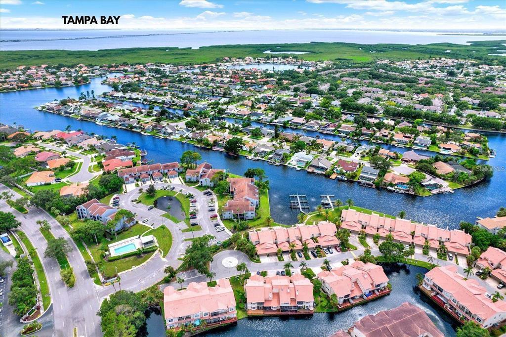 6330 Grand Bahama Cir in Tampa, FL - Foto de edificio