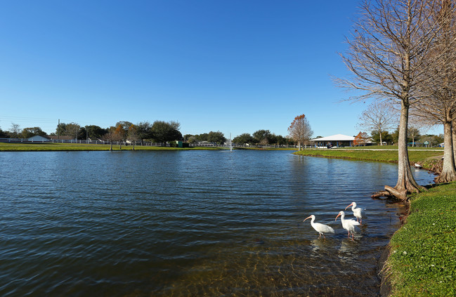 Apartamentos Alquiler en Lee Vista, FL