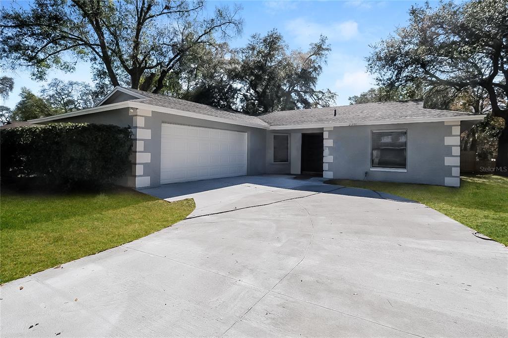 2301 Willow Branch Ave in Lutz, FL - Building Photo