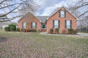 313 Brewster Ct in Murfreesboro, TN - Building Photo