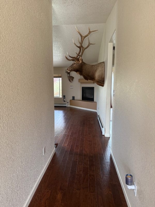 296 Narrow Leaf Dr in Fruita, CO - Building Photo - Building Photo