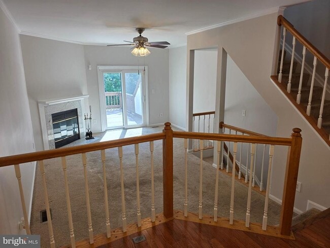 property at 5831 Norham Dr