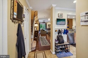 14224 Angelton Terrace in Burtonsville, MD - Building Photo