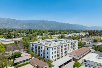 315 N Hill Ave in Pasadena, CA - Foto de edificio - Building Photo