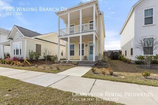 205 Winding Branch Dr in Summerville, SC - Building Photo