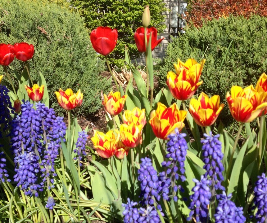 4902 N Pasadena Ln in Spokane, WA - Building Photo